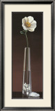 Buy Anemone Haiku at AllPosters.com