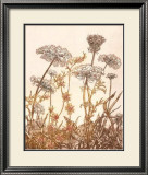 Buy Field of Lace I at AllPosters.com
