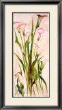 Buy Lilies at AllPosters.com