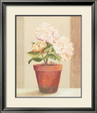 Buy Hydrangeas in Red Pot at AllPosters.com