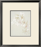 Buy Untitled at AllPosters.com