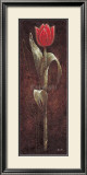 Buy Mystic Tulip Red at AllPosters.com