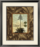 Buy C. Capsolorum at AllPosters.com