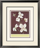 Buy Clematis II at AllPosters.com