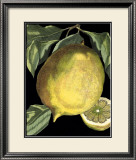 Fragrant Citrus I
