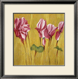 Buy Pink Cyclamens at AllPosters.com