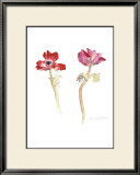 Buy Red Anemones at AllPosters.com
