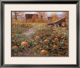 Harvest Memory
