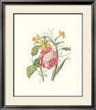 Narcissus with Red Rose
