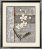 Buy Orchid Shimmer I at AllPosters.com