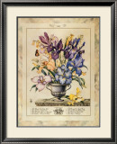 Iris Framed Art Print