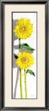 Buy Girasoles I at AllPosters.com
