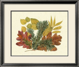 Buy White Oak, Balsam Fir and Yellow Birch at AllPosters.com