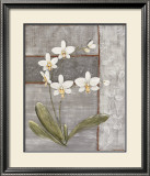 Buy Orchid Shimmer II at AllPosters.com