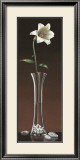 Buy Lily Haiku at AllPosters.com