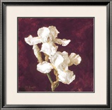 Buy Double Iris at AllPosters.com