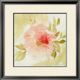 Stardust Peony