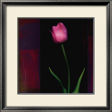 Buy Red Tulip II at AllPosters.com