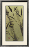 Buy Bamboo's Peace at AllPosters.com