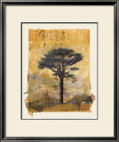 Presidio Cypress Study I