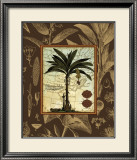Buy Banana Palm at AllPosters.com