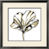 Tulip Sketch IV