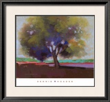 Buy Twilight Oak IV at AllPosters.com