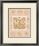 Buy Black-Eyed Susans at AllPosters.com