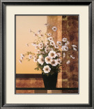 Narcissus