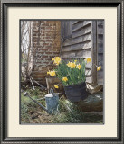Buy Sunning Daffodils at AllPosters.com