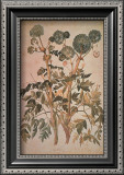 Buy Angelica Arcangelica at AllPosters.com