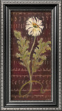 Buy African Daisy I at AllPosters.com
