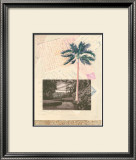 San Saba