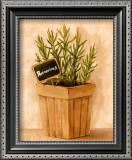 Buy Rosmarinus at AllPosters.com