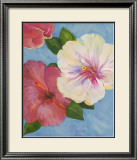 Buy Hibiscus Fantasia at AllPosters.com