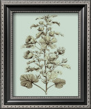 Buy Custom Imperial Munting I at AllPosters.com
