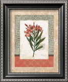 Buy Laurier Rose at AllPosters.com
