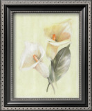 Buy Calla Lily IV at AllPosters.com
