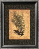Buy White Pine at AllPosters.com