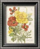 Buy August Poppy at AllPosters.com