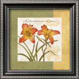Buy Garden Inspiration III at AllPosters.com