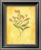 Buy Country Flowers II at AllPosters.com