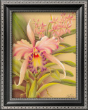 Buy Pink Cattleya at AllPosters.com