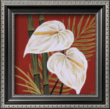 Buy Sun Kissed I at AllPosters.com