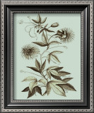 Buy Custom Imperial Munting III at AllPosters.com