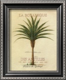 Buy La Botanique at AllPosters.com