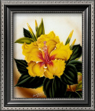 Buy Yellow Hibiscus at AllPosters.com