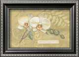Happiness, Orchid