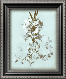 Buy Dussurgey Lilium on Blue at AllPosters.com