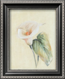 Buy Calla Lily II at AllPosters.com